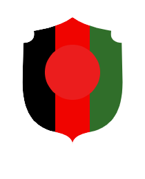 Logo del equipo 161205