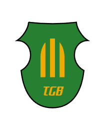 Logo del equipo 161324