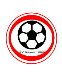 Logo del equipo 171317