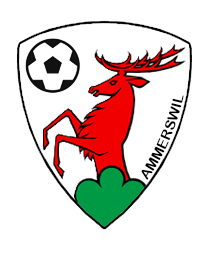 Logo del equipo 173403
