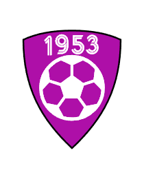 Logo del equipo 181307