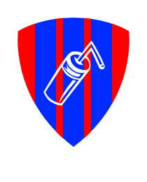 Logo del equipo 193378