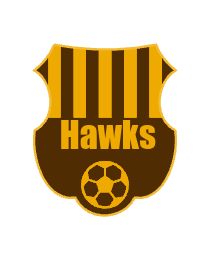 Logo del equipo 194181