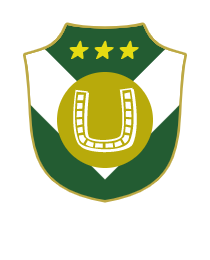 Logo del equipo 1916395