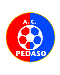 Logo del equipo 1917938