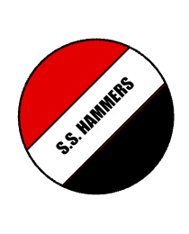 Logo del equipo 1918824