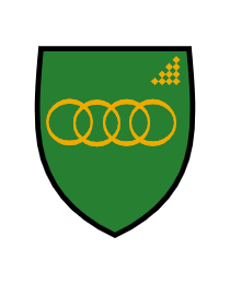 Logo del equipo 1919053