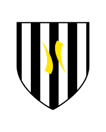 Logo del equipo 1919442