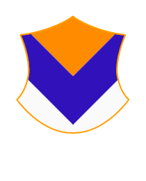 Logo del equipo 1919455