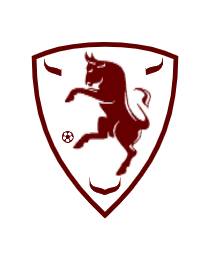 Logo del equipo 1927194