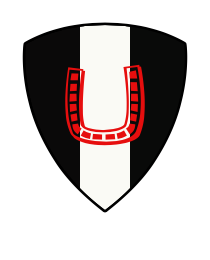Logo del equipo 1930205