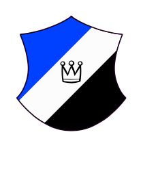 Logo del equipo 1985265
