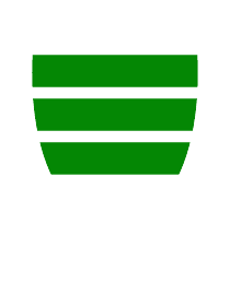 Logo del equipo 1987234