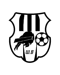 Logo del equipo 1990468