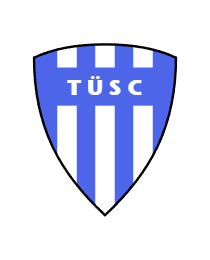 Logo del equipo 1996026
