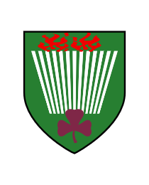 Logo del equipo 1999050