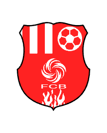 Logo del equipo 2024532