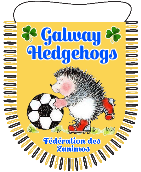 Galway Hedgehogs