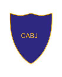 Logo del equipo 2157762