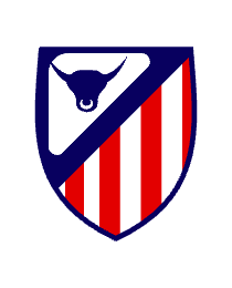 Logo del equipo 2158601