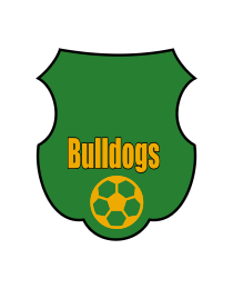 Logo del equipo 200333