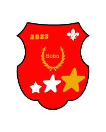 Logo del equipo 206050