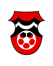 Logo del equipo 212587