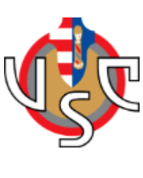 Logo del equipo 217175