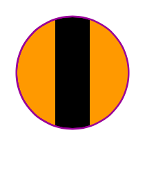 Logo del equipo 243010