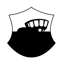 Logo del equipo 246987