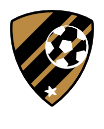 Logo del equipo 252338