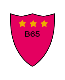 Logo del equipo 252680