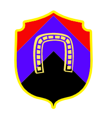 Logo del equipo 253273