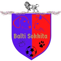 Logo del equipo 271236