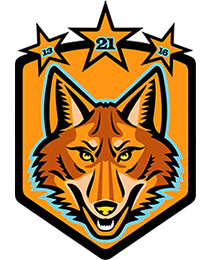Logo del equipo 273226