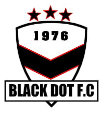Logo del equipo 290831