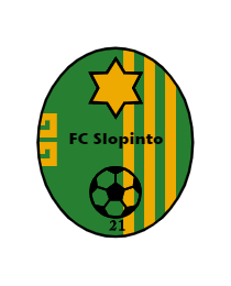 Logo del equipo 2025128