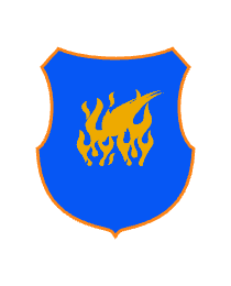 Logo del equipo 300563