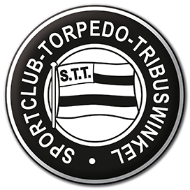 Logo del equipo 300770