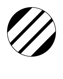 Logo del equipo 301581