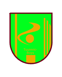 Logo del equipo 317755