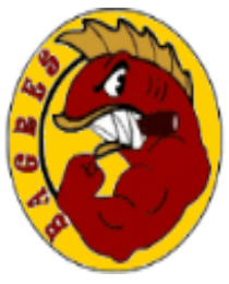 Logo del equipo 331794