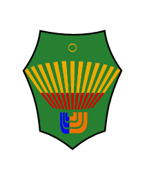 Logo del equipo 335335