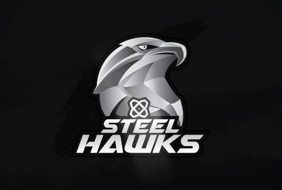 Steel Hawks FC