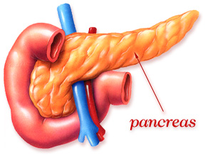 Pancreas Pantaloons FC