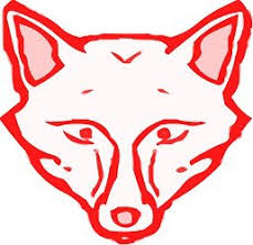 Fernhill Foxes