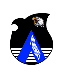 Logo del equipo 431051