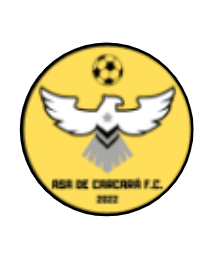 Logo del equipo 432753