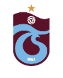 Logo del equipo 519573