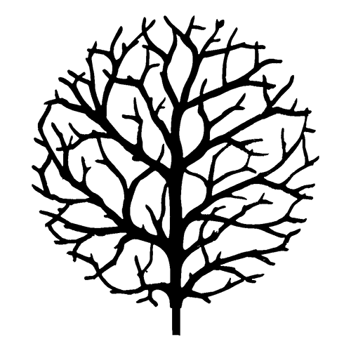 Logo del equipo 522954
